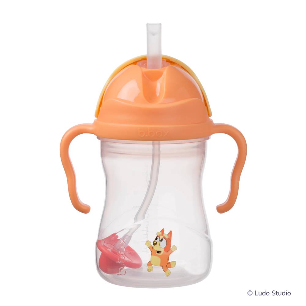 b.box Sippy Cup V2