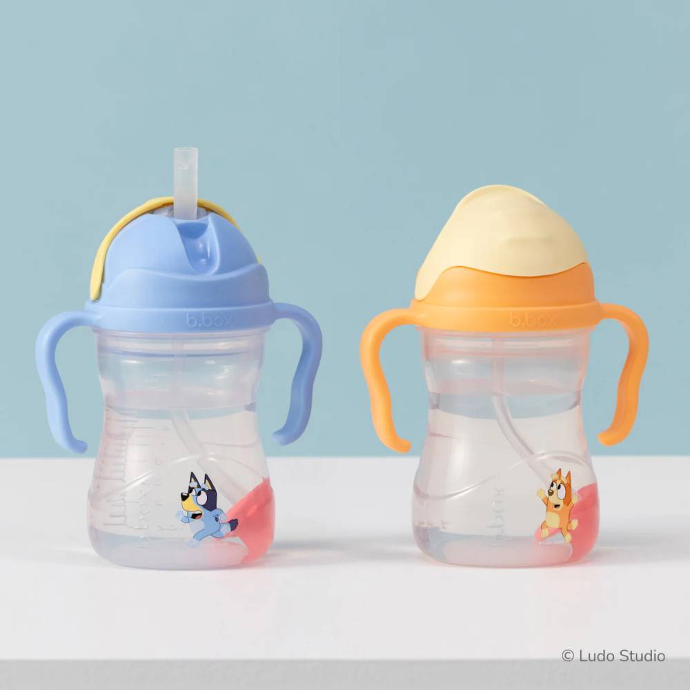 b.box Sippy Cup V2