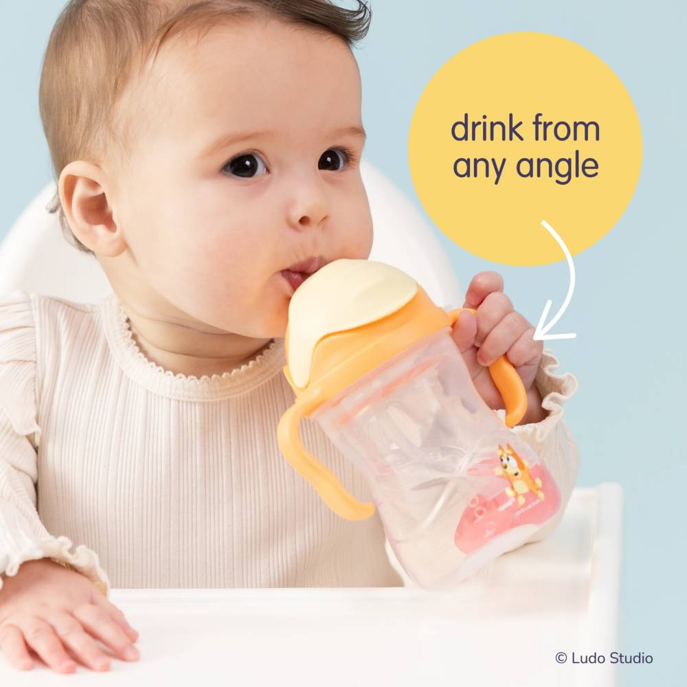 b.box Sippy Cup V2