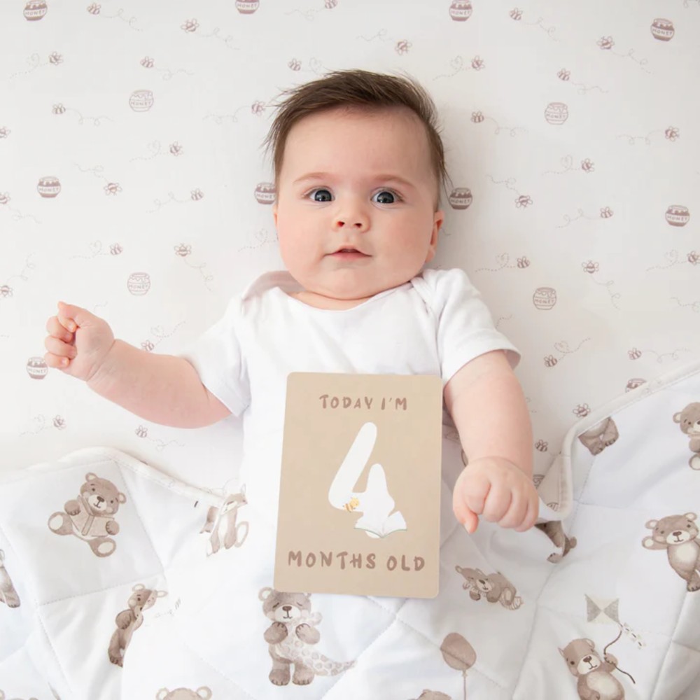 Living Textiles Jersey Fitted Sheet 2pk