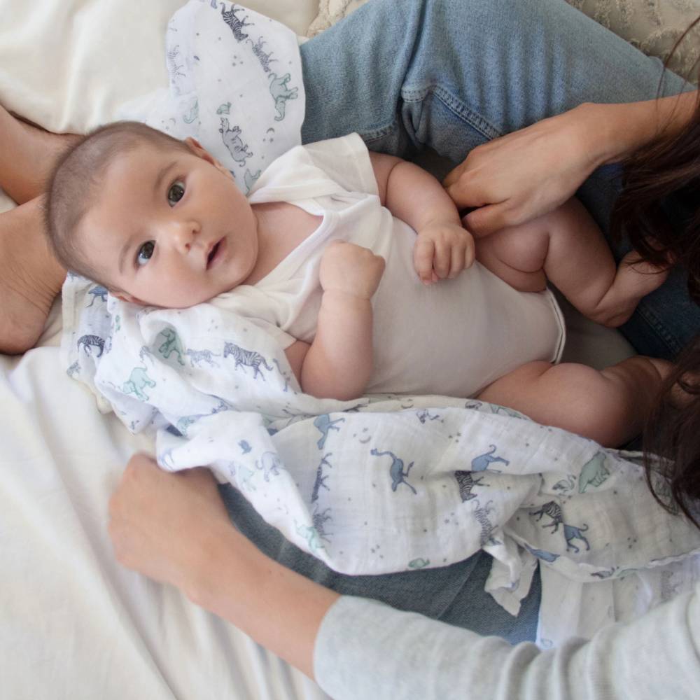 Aden & Anais 4pk Classic Muslin Swaddles