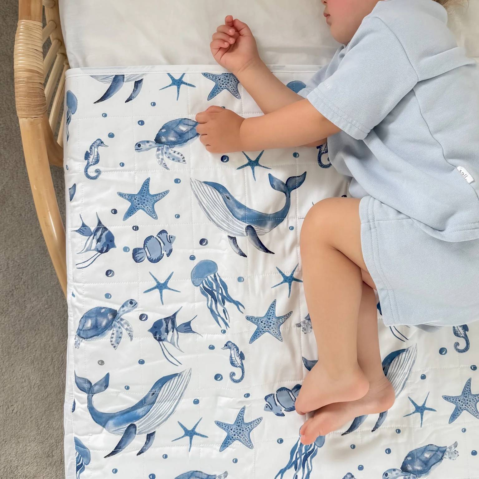 Brolly Sheet