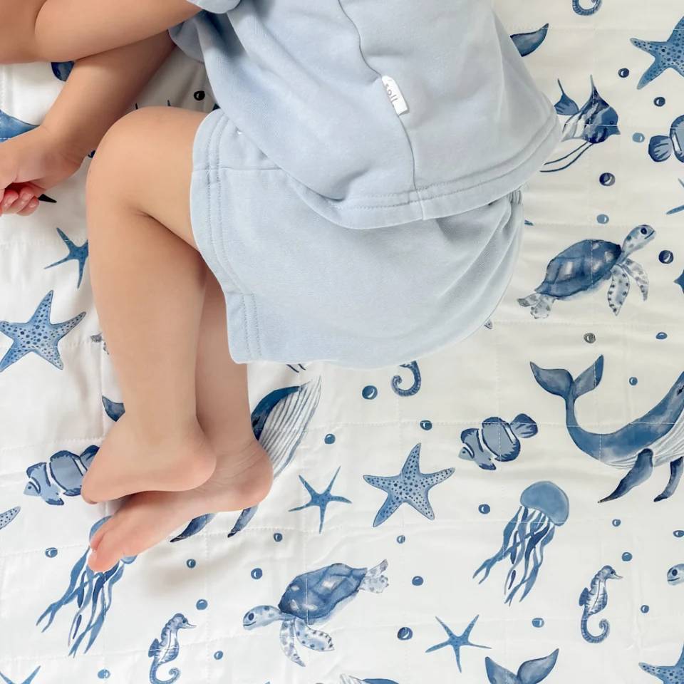 Brolly Sheet