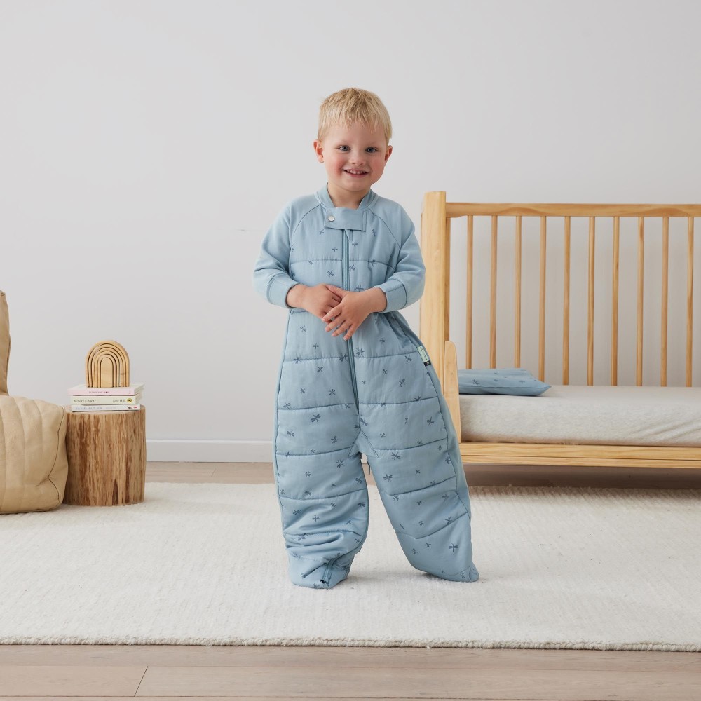 ergoPouch 2.5 tog Organic Sleep Suit Bag
