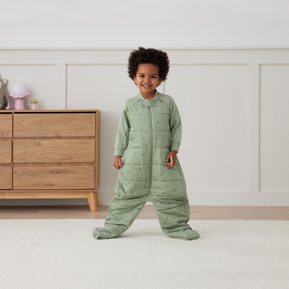 ergoPouch 2.5 tog Organic Sleep Suit Bag