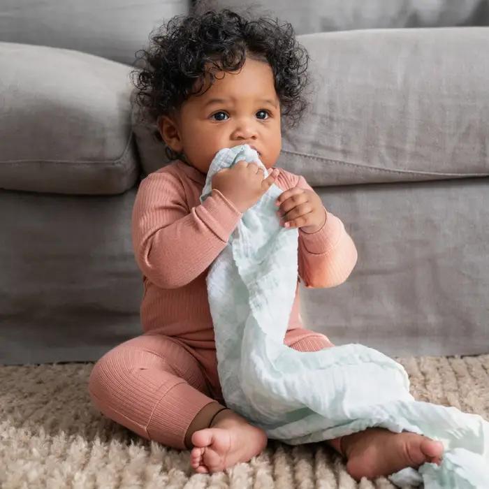 Aden + Anais Essentials Muslin Swaddles 4pk