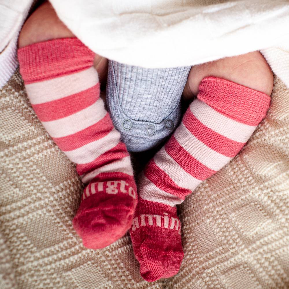 Lamington Baby Knee-High Merino Socks