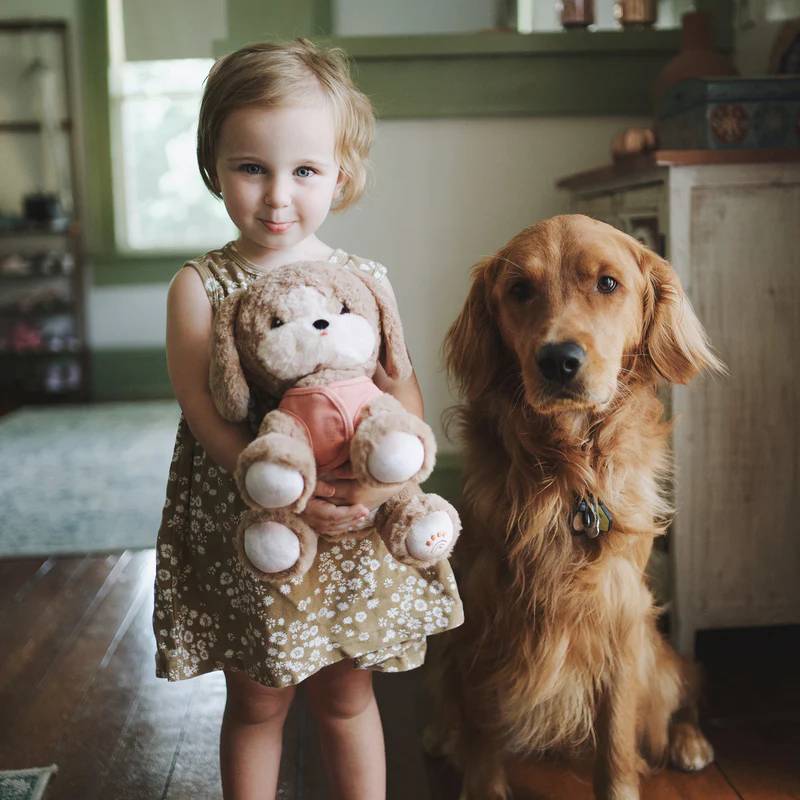 Olli Ella Dinkum Dogs