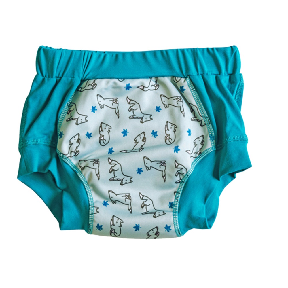 Wee Pants Training Undies