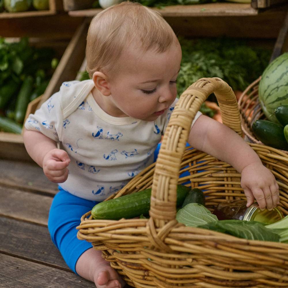 Nature Baby Short Sleeve Bodysuit