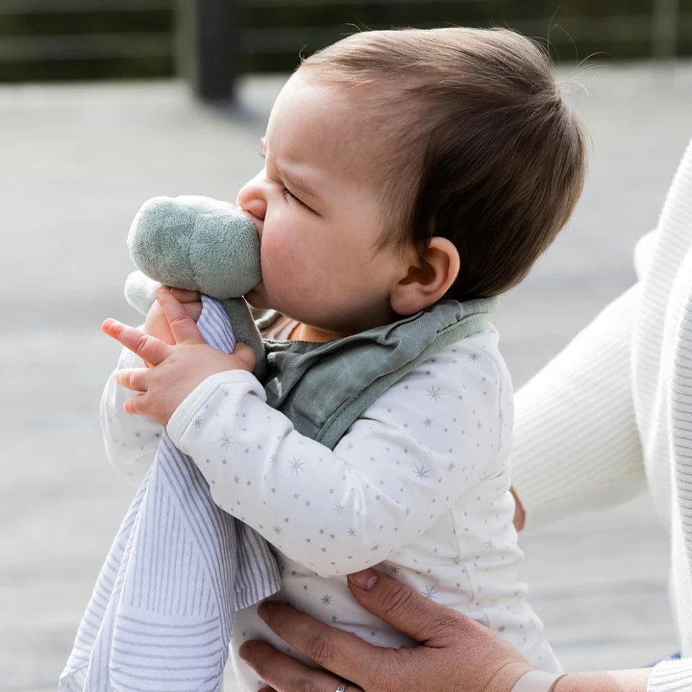 Little Bamboo - Muslin Bib 2 Pack