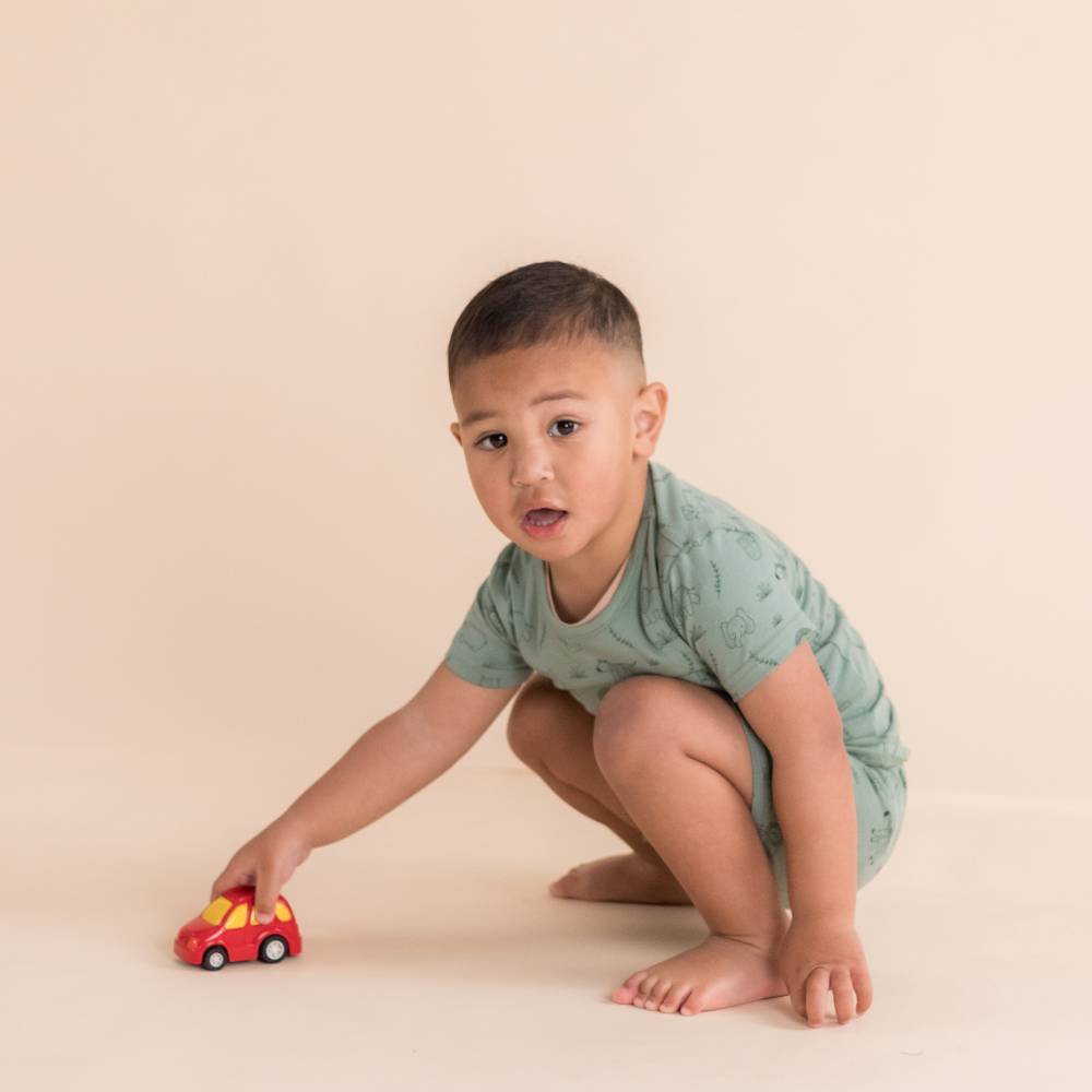 The Sleep Store Organic Cotton Short Sleeve Pyjamas