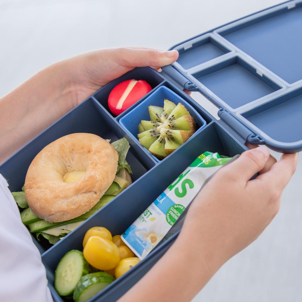 MontiiCo Feast Lunch Box