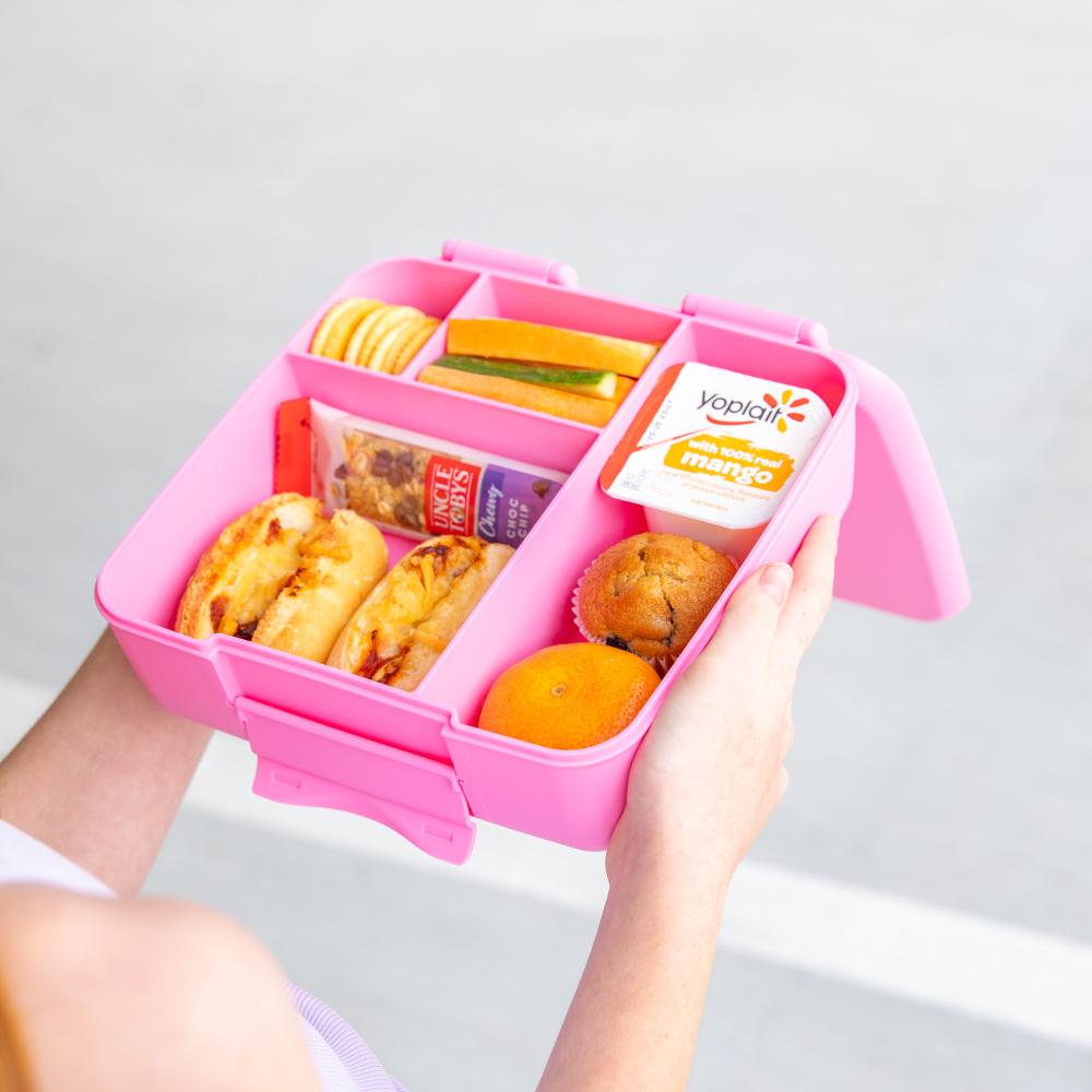 MontiiCo Feast Lunch Box