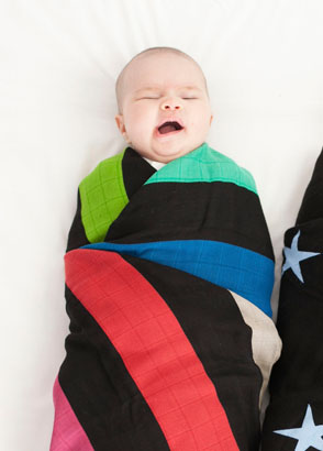 Two Month Old Catnapper