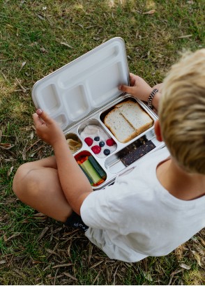 What should I put in my child's school lunchbox? What should I put in my child's school lunchbox?