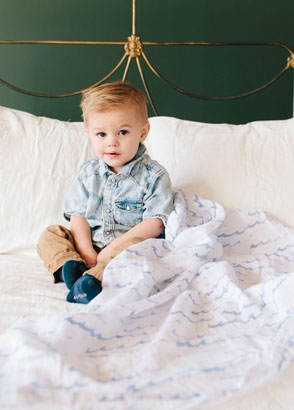 House Dust Mites (and their allergens) House Dust Mites (and their allergens)