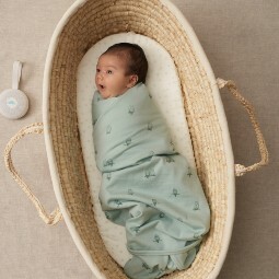 baby-swaddled-in-the-sleep-store-nz-jersey-merino-swaddle-blanket-sage-owls-with-hushh-plus-sound-machine.jpg