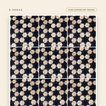 Tumbling-blocks 3D wood mosaic panel tiled across a ceiling — E Kenoz