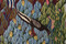 Hand woven tapestry-5.7 ft-egyptian folk art wall hanging-kilim rug home decor