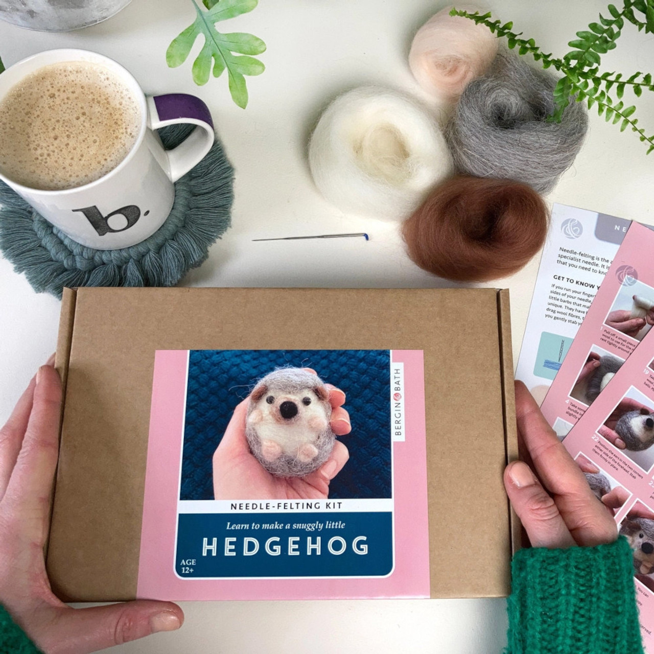 Bergin & Bath Needle Felting Kit Hedgehog - The Websters