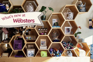 Websters Weekly: August 29