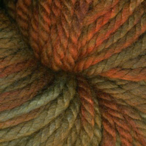 Malabrigo Chunky Yarn 224 Autumn Forest-0