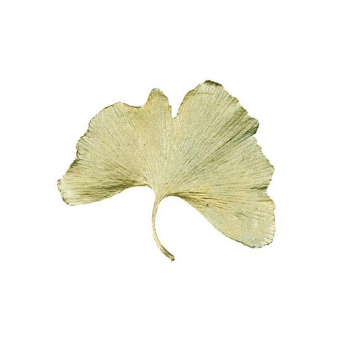 Michael Michaud Pin Gingko Leaf Brooch Large-0