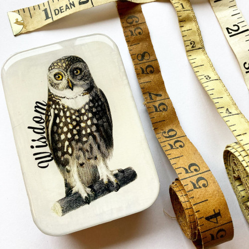 Firefly Notes Tin Large Wise Owl