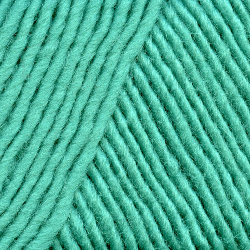 Brown Sheep Lamb's Pride Worsted Yarn 187 Turquoise Depths