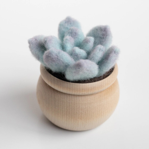 Felted Sky Ghost Plant Succulent Mini Sculpting with Wool Needle Felting Kit