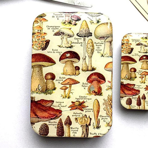 Firefly Notes Tin Large Mushroom