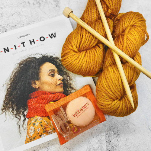 Websters Beginning Knit Kit