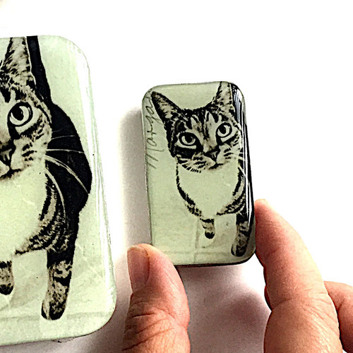 Firefly Notes Tin Small Cat