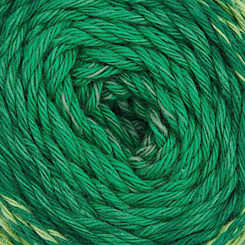 Rico Design Ricorumi Spin Spin DK Yarn 013 Green