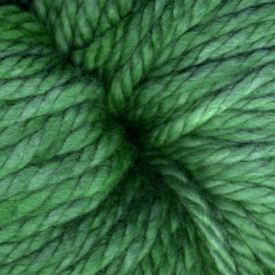 Malabrigo Chunky Yarn 117 Verde Adriana-0