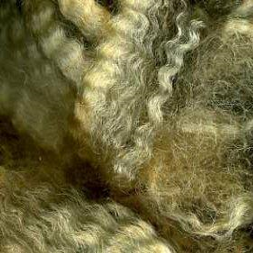 Wool Grease Romney Natural Colors The sters