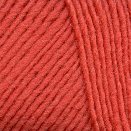 Brown Sheep Lamb's Pride Worsted Yarn 159 Deep Coral