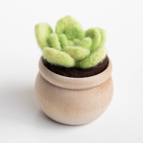 Felted Sky Lily Pad Succulent Mini Sculpting with Wool Needle Felting Kit Felted Sky Lily Pad Succulent Mini Sculpting with Wool Needle Felting Kit