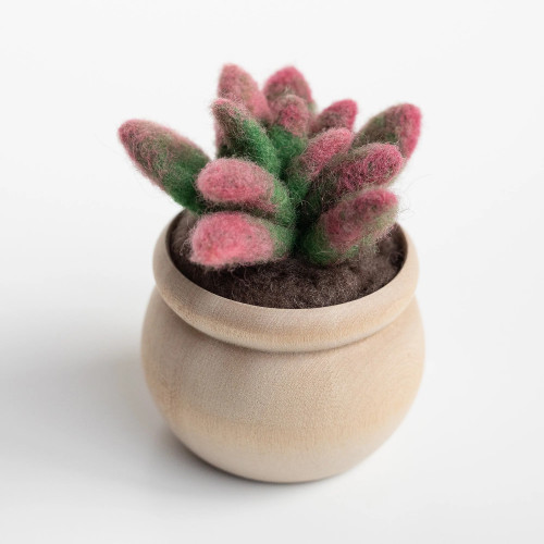 Felted Sky Sunrise Succulent Mini Sculpting with Wool Needle Felting Kit Felted Sky Sunrise Succulent Mini Sculpting with Wool Needle Felting Kit