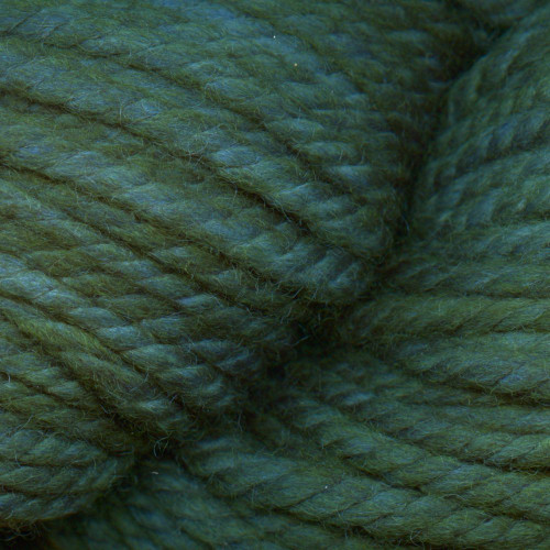 Malabrigo Chunky Yarn 145 Forest