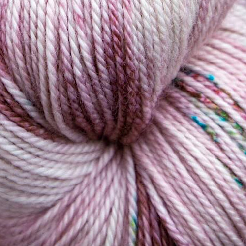 Magpie Fibers Swanky DK Yarn Pardon My French