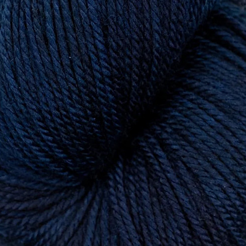 Magpie Fibers Swanky DK Yarn Midnight Train to Georgia