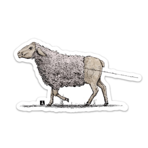 Bellavance Ink Vinyl Sticker Sheep Losing Her Wool