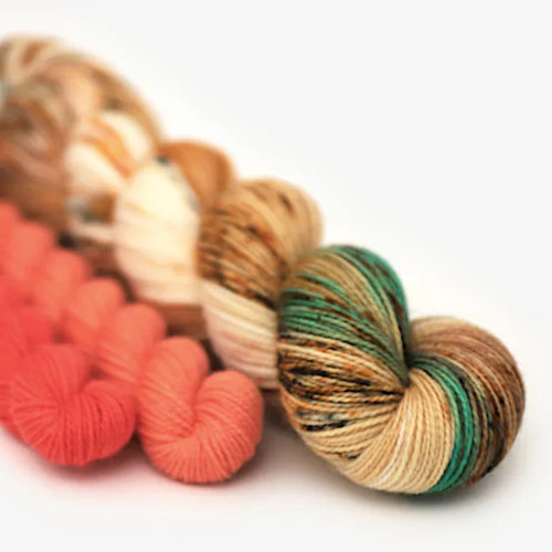 Hue Loco Backyard Chicken Set Merino Sock Yarn Buff Sebright Rooster