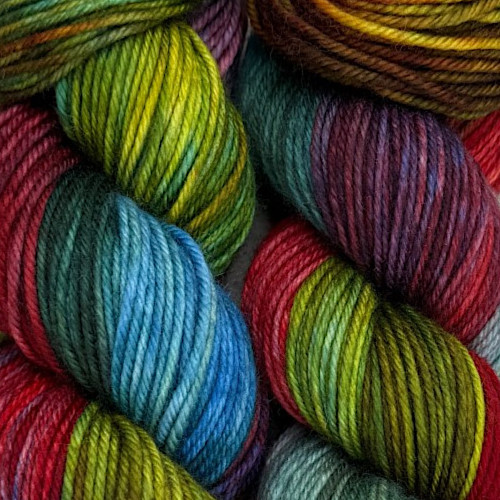 Polka Dot Sheep Tenderfoot 80/20 Yarn Macaw (LYSD 2025)