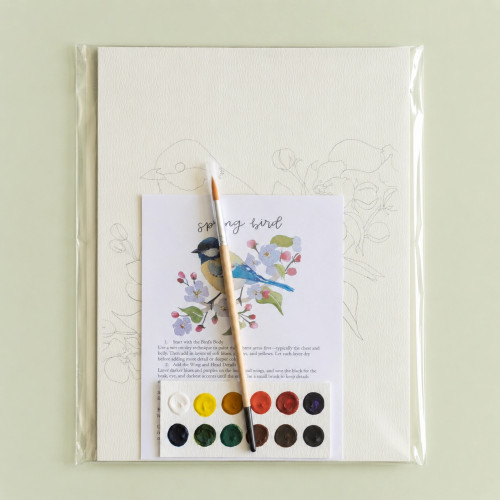 Bailey Rae Studio Watercolor Kit (Spring Bird)