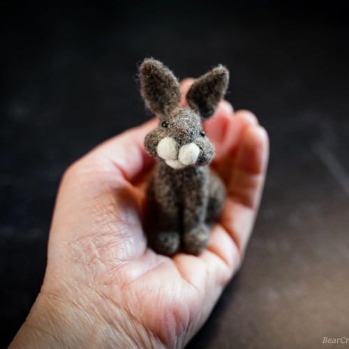Bear Creek Felting Project Kit (Bunny)