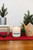Wax and Wool Pure Soy Wax Candle Tree Farm