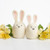 Felted Sky Bunny Friends Mini Sculpting with Wool Needle Felting Kit